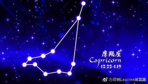 总结:射手座的完美匹配