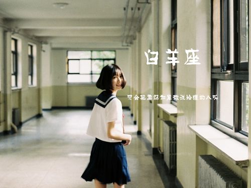 白羊座女孩的事业观