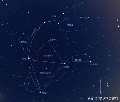 狮子座与处女座的关系