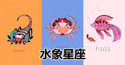 狮子座水像星座，火与水的完美结合