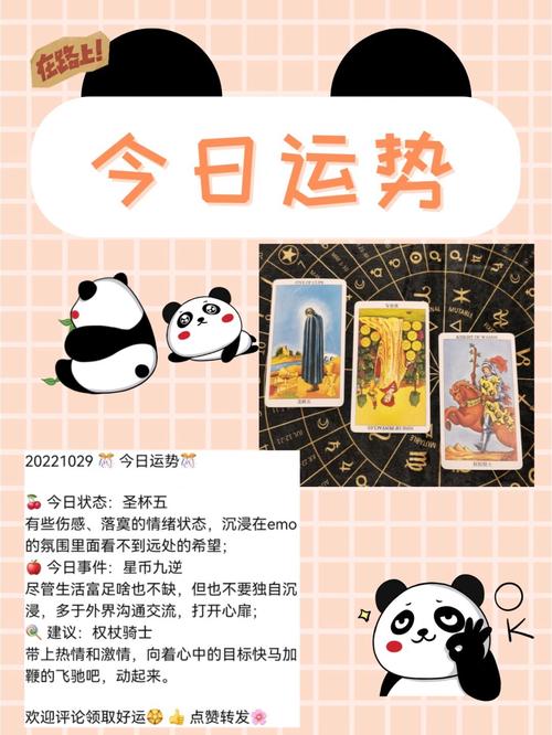 今日运势概述: