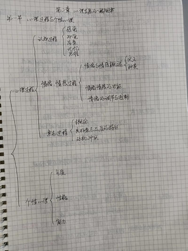 社交和友谊: