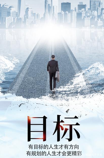 事业与目标追求