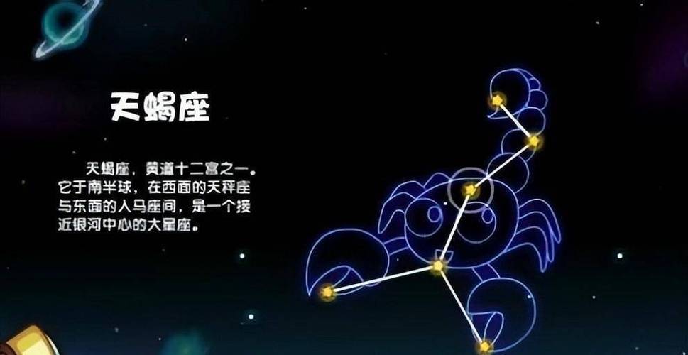 结语：星座间的和谐共处