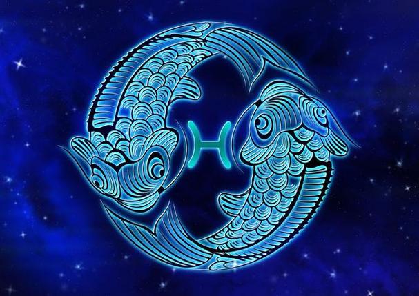 总结:寻找最适合的伴侣