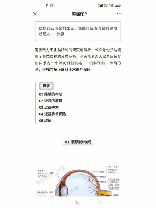 今日概述: