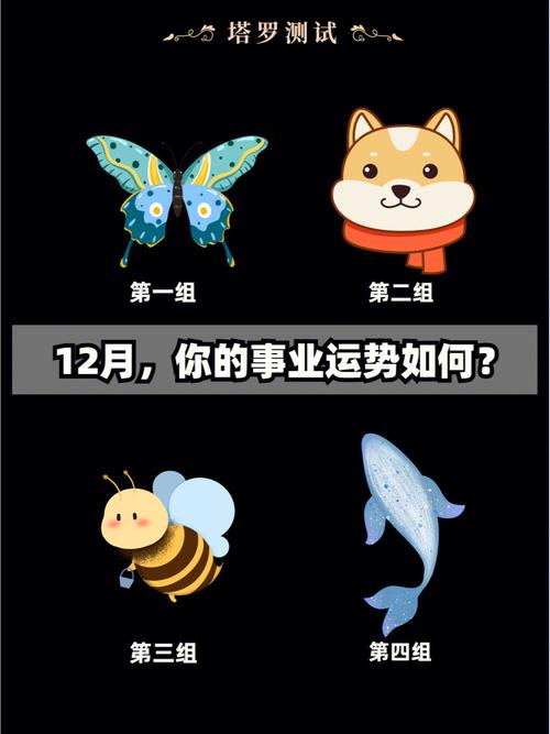 社交运势: