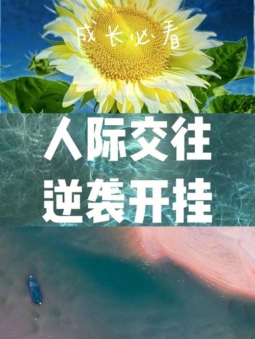 财务状况:谨慎理财