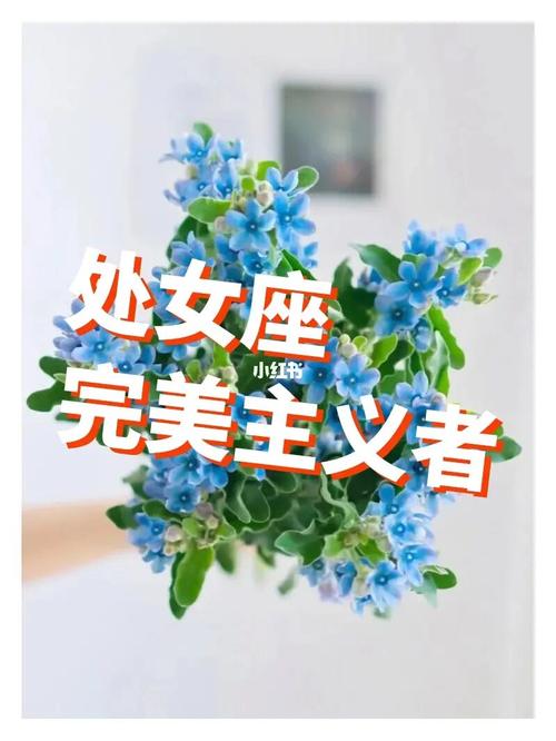 处女座:完美主义与细节的守护者