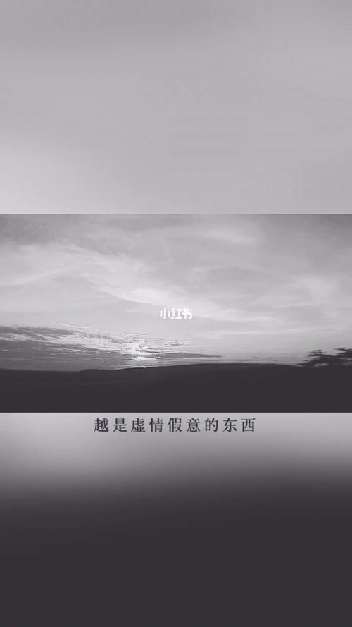 沟通方式:直接而坦诚