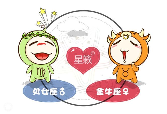 金牛座与天蝎座:激情与深度的结合