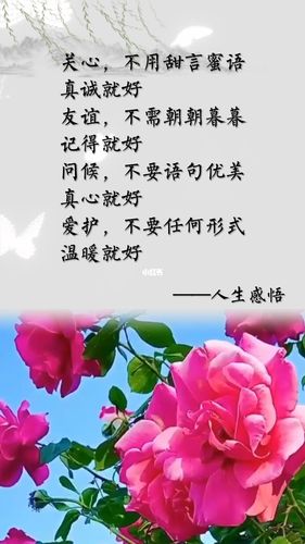 生活习惯:灵活与多变