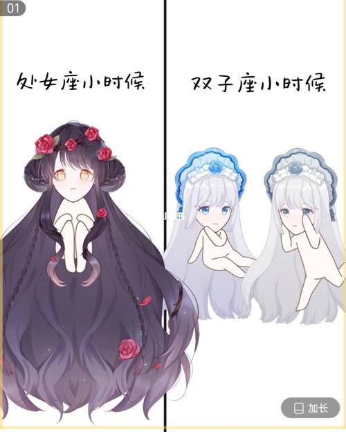 双子座与摩羯座:现实与理想的结合