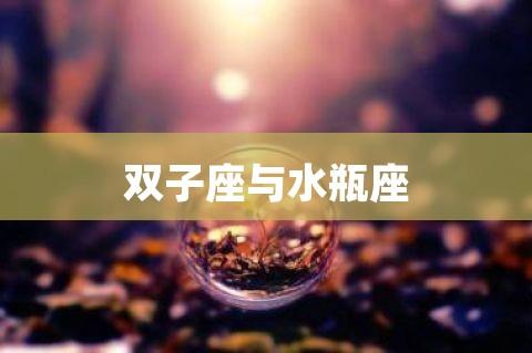 水瓶座与狮子座:创意与领导力