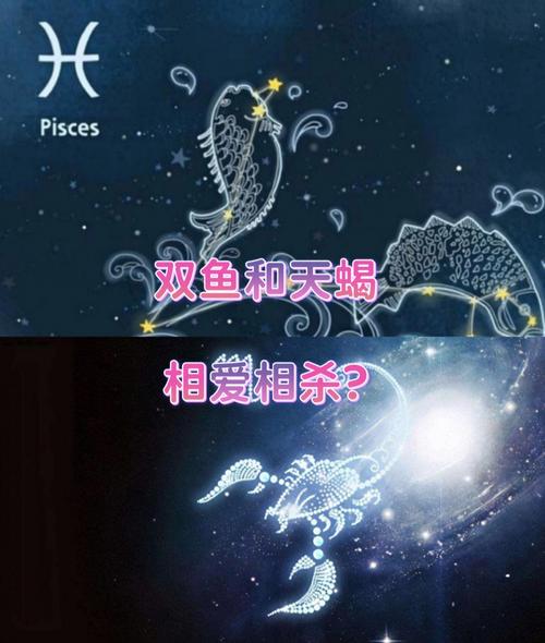 双鱼座与摩羯座：责任与现实的平衡