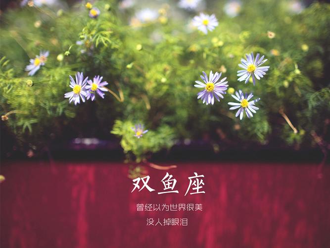 双鱼座与天蝎座:深刻的情感共鸣