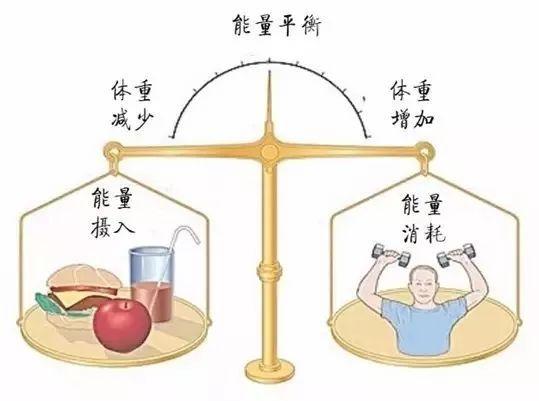 社交运势:人际关系的维护与发展