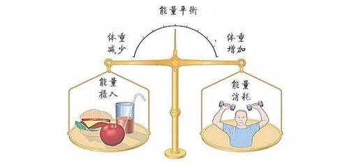 总结:明日运势的总体建议