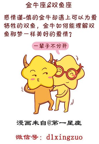 双鱼座与处女座:细致与关怀的结合