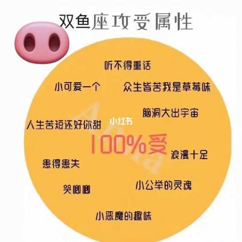 双鱼座与摩羯座：责任与梦想的平衡