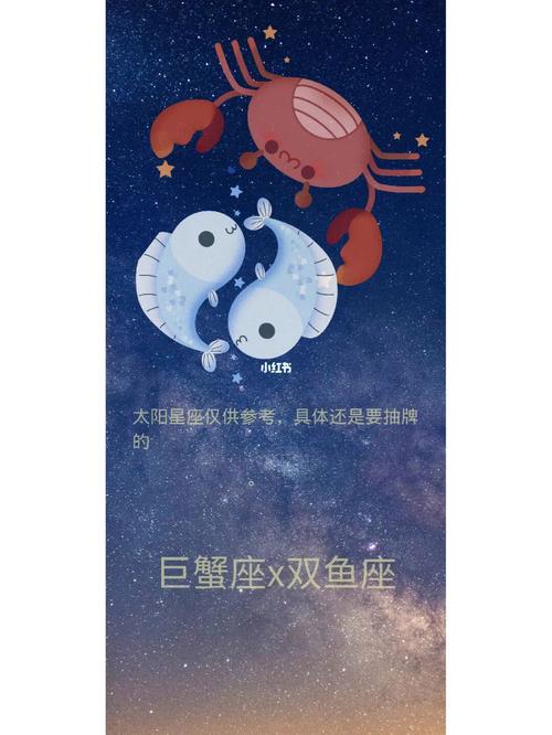 巨蟹座与处女座:互补与成长的伙伴