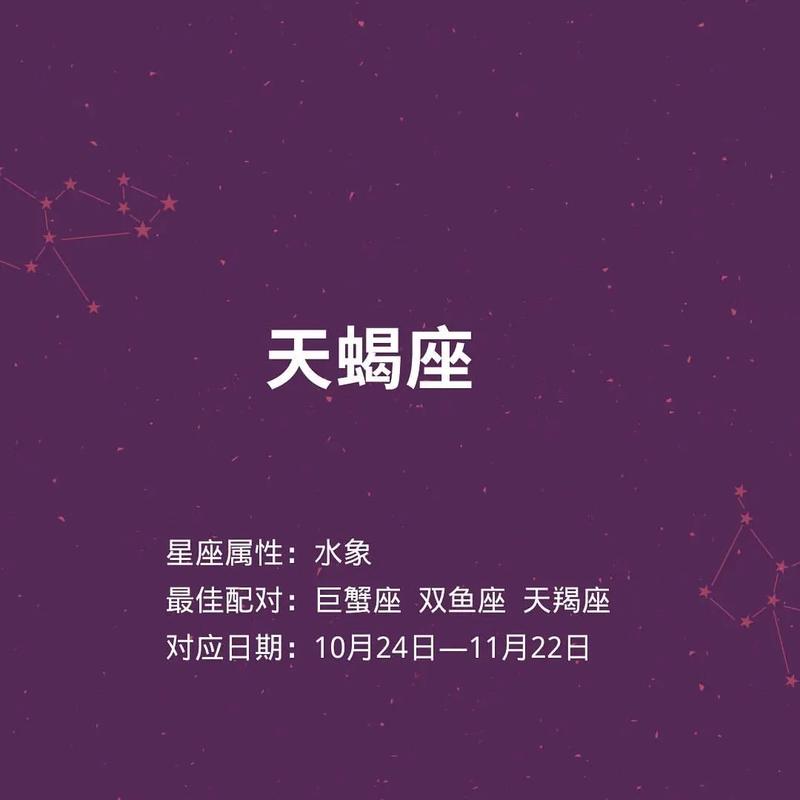结论:寻找最适合的伴侣