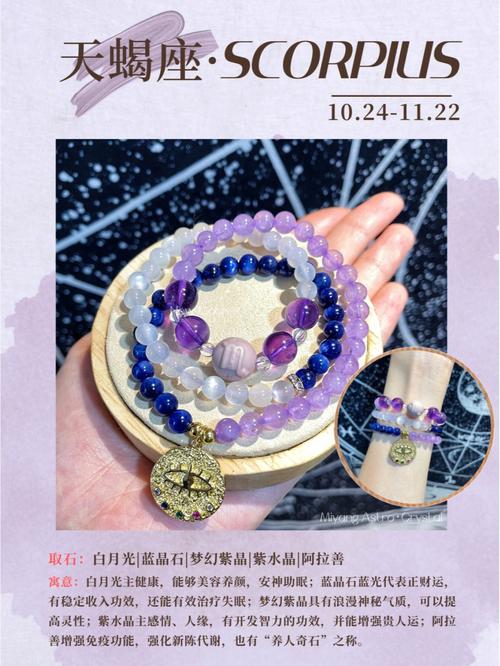 星座玫瑰在天蝎座生活中的应用