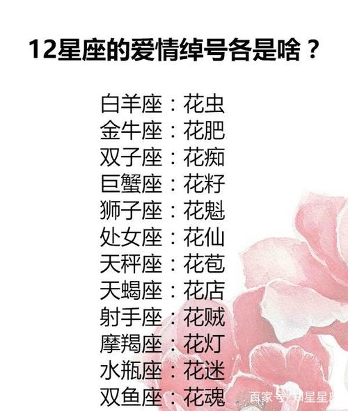 如何为天蝎座选择星座玫瑰
