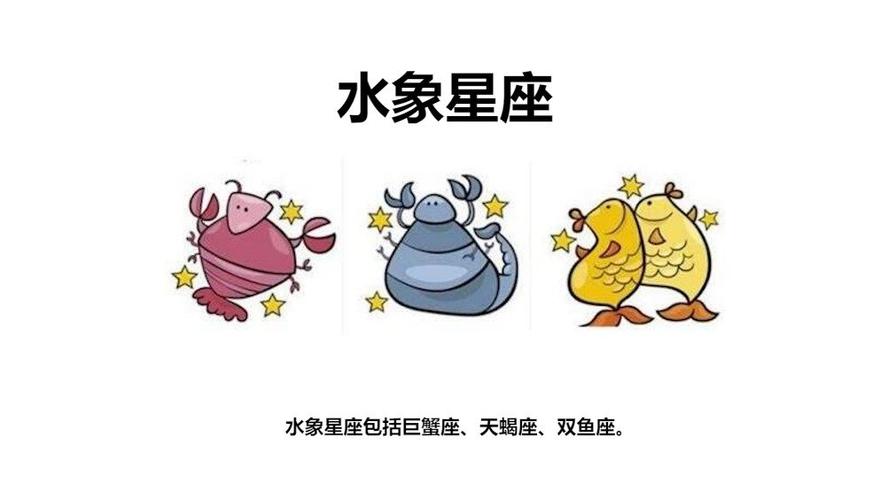 双鱼后面是什么星座
