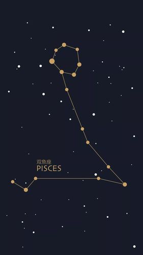 双鱼下一个什么星座