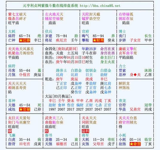 这个紫薇排盘怎么看,帮忙看下