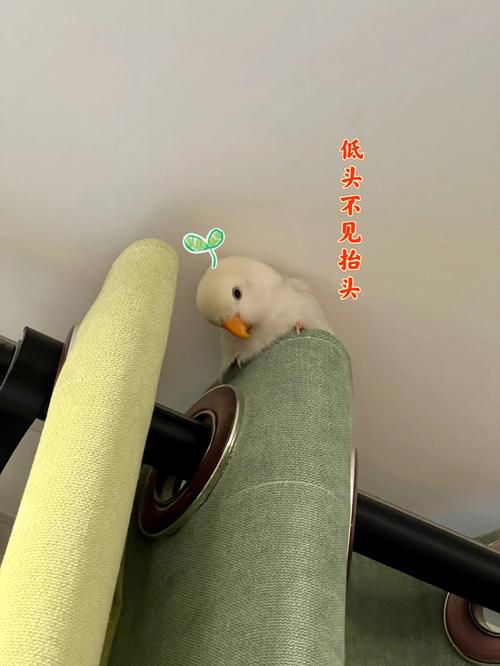 推销有一手这些星座男就喜欢给人种草