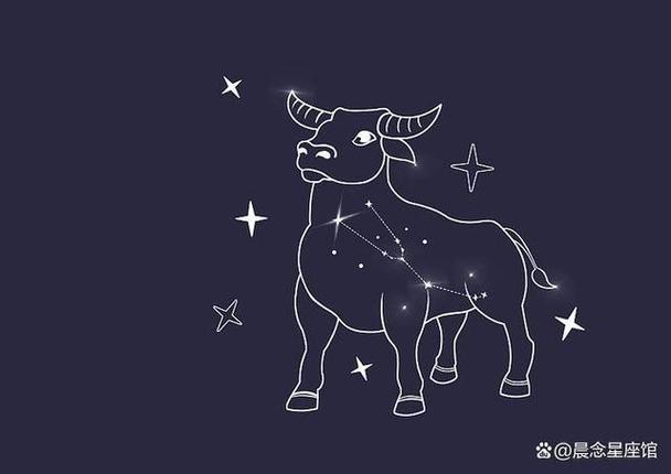 金牛座前面一个座是什么座