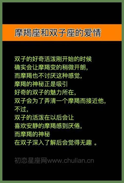 双子座和摩羯座的情感终极配对