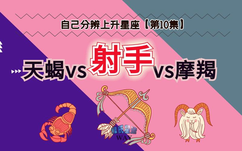 太阳星座天秤,上升星座射手的女孩是啥样的
