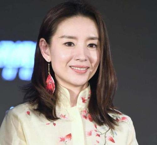 想要董洁与小虎队的个人资料!谢谢!!!