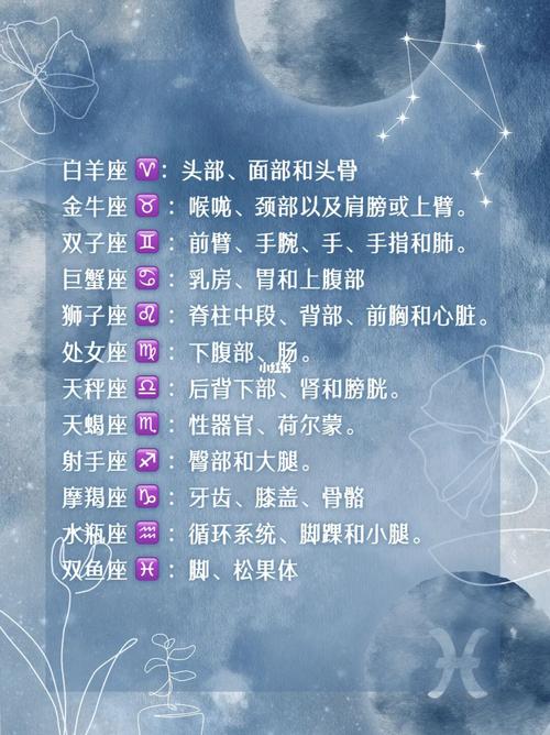 关于假如我会飞的作文300字5篇