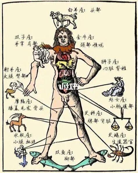 一物降一物,哪个星座女能够驾驭狮子男呢?