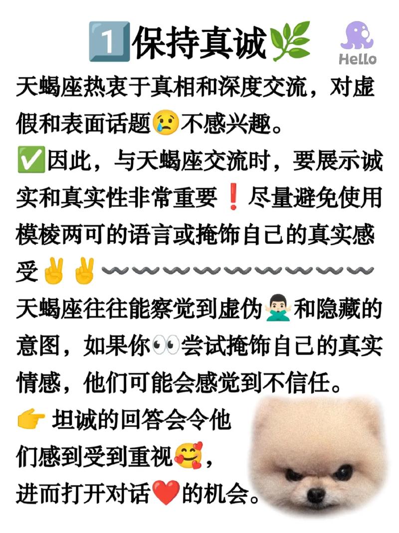 与天蝎女的聊天模式