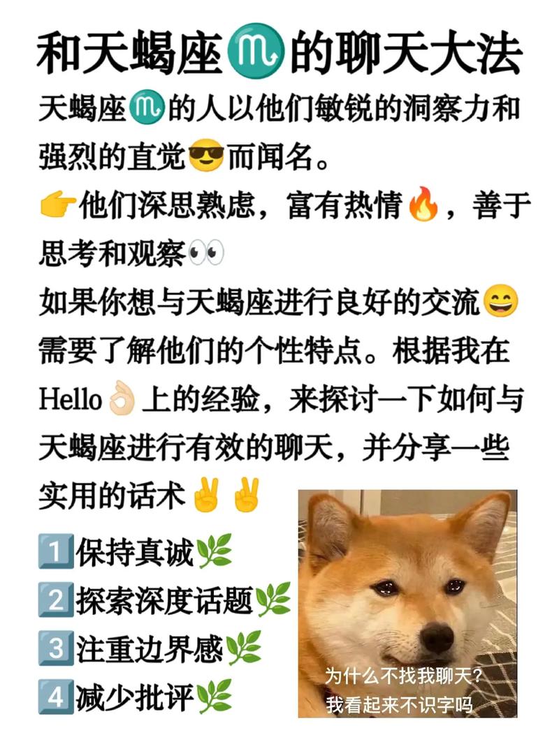 怎么追天蝎座的女生?