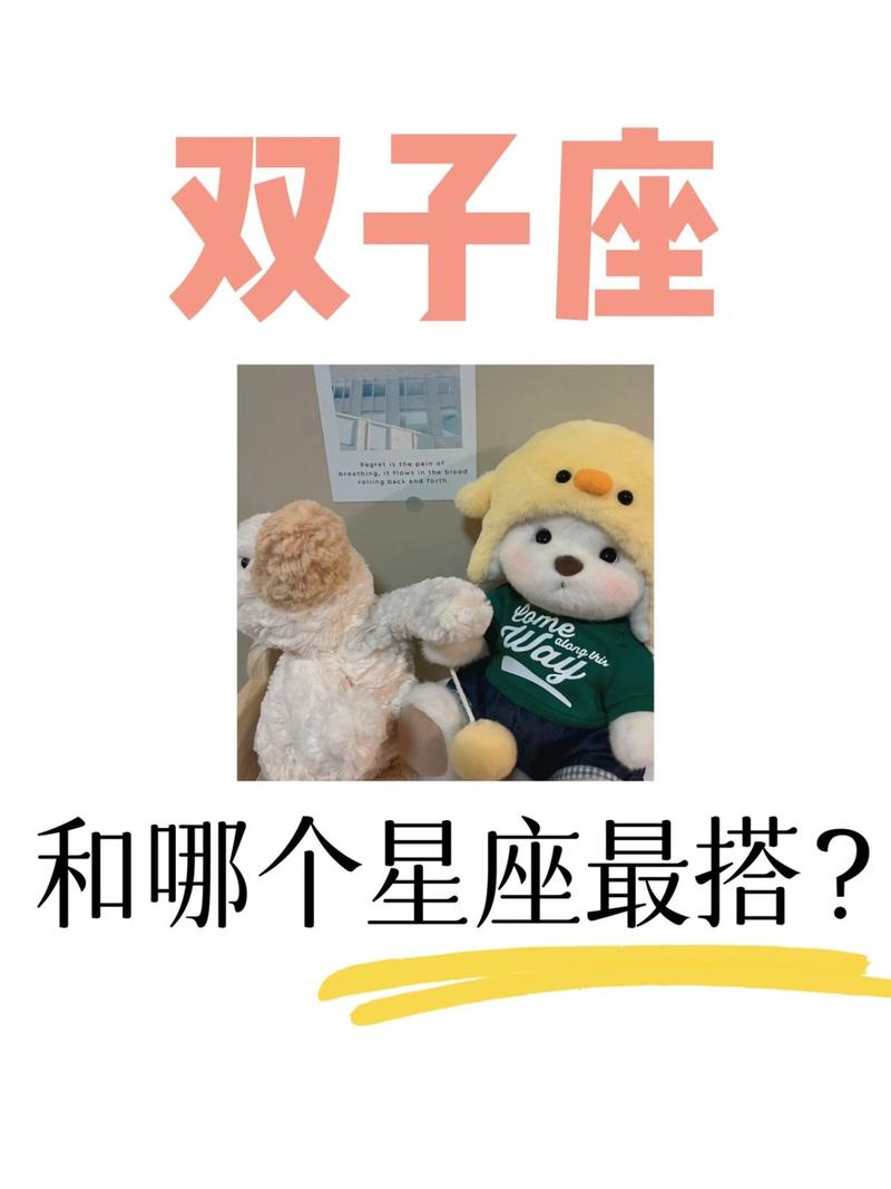 双子座和什么座最配对,6月6日的双子座和什么座最配
