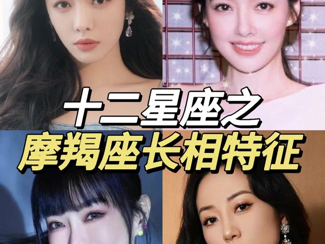 摩羯座男生的长相