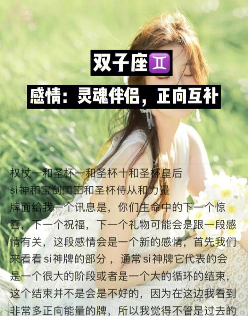 双子座的灵魂伴侣