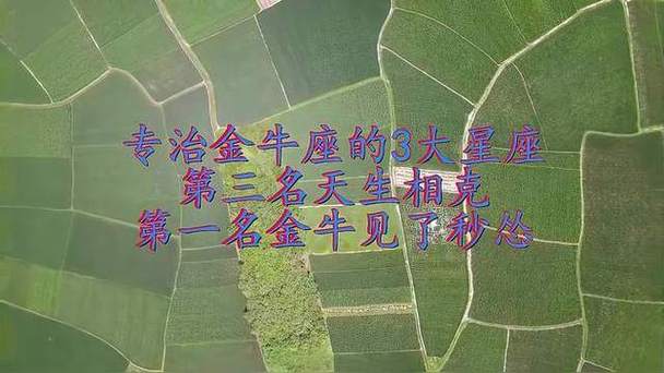 金牛座与哪个星座不合