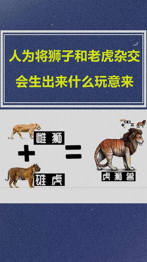 狮子座+属虎(生肖虎)+AB型血性格分析