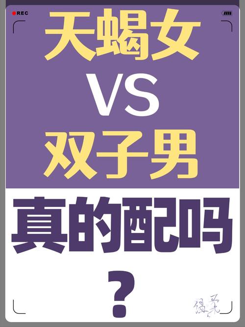 十二星座的双子男配什么星座