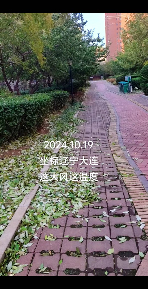 大连市金州区天气?