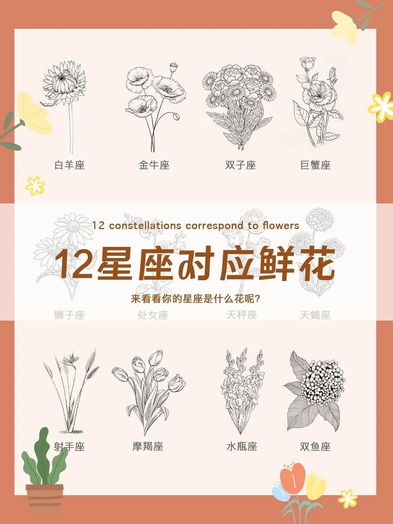 狮子座的守护花的花语是什么