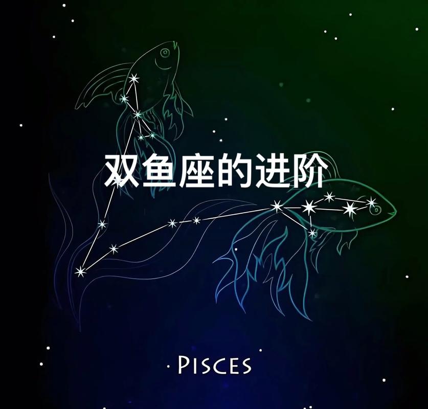 双鱼座与十二星座之间的关系什么?