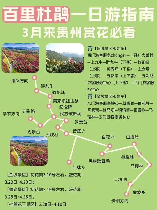 贵州黔西百里杜鹃天气预报
